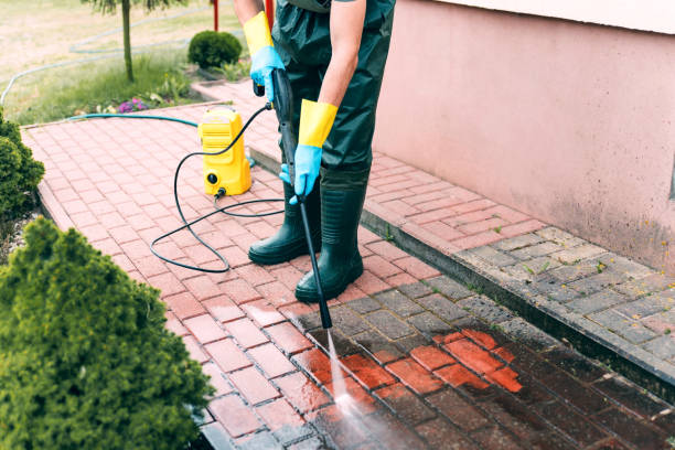 Best Roof Power Washing Services  in Racend, LA